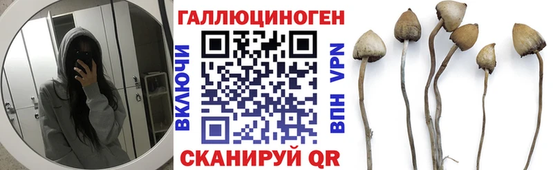 Галлюциногенные грибы Psilocybine cubensis  Елец 